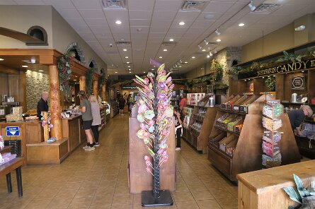 20250324_171317 null