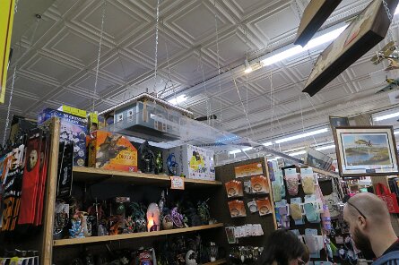 20250324_174442 null