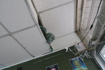 20250419_151532 null