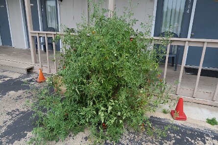 20250831_094942 null