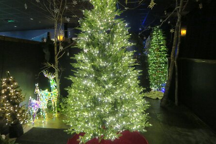 20251115_110008 null