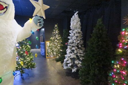 20251115_110024 null