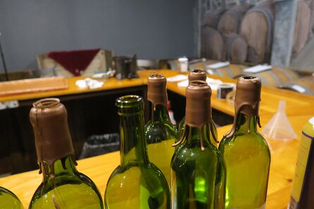 20250419_180545 null