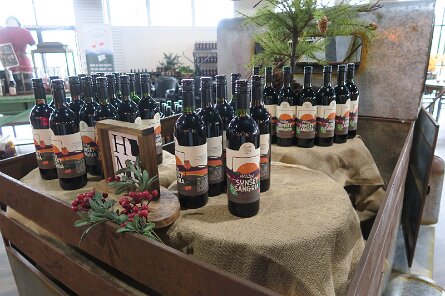 20250419_164812 null