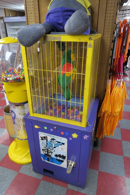 20240428_130933 null