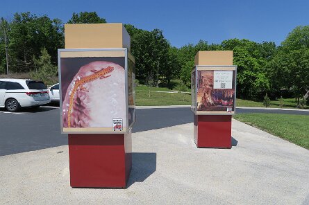 20230529_114653 null