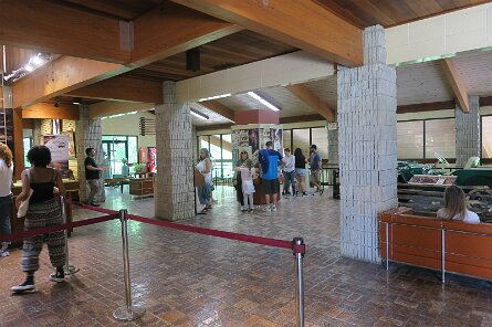 20230529_115016 null