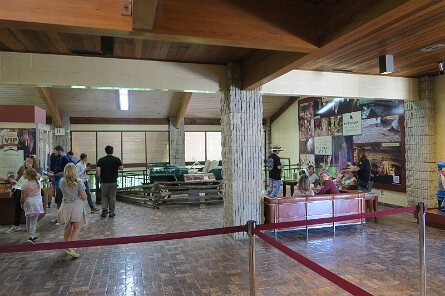 20230529_115031 null