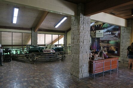 20230529_115058 null