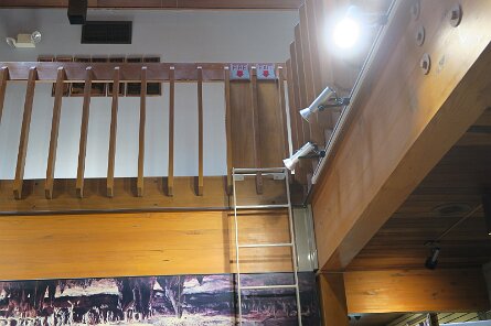 20230529_115126 null