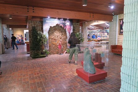 20230529_115337 null