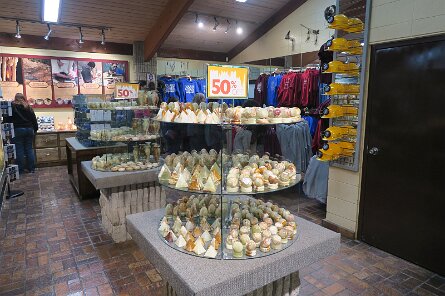 20230529_115354 null