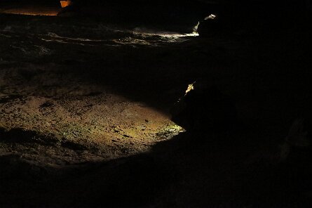 20230529_122804 null