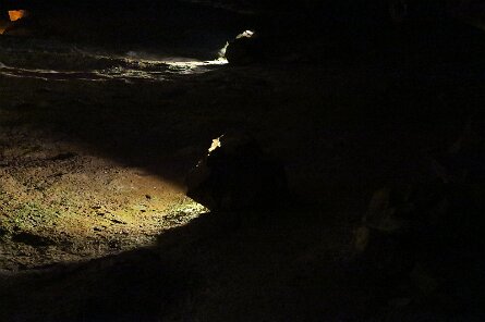 20230529_122807 null