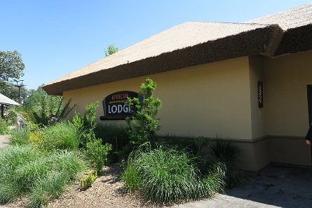 20170610_112818 null