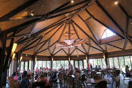 20170610_112912 null