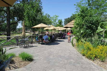 20170610_113258 null