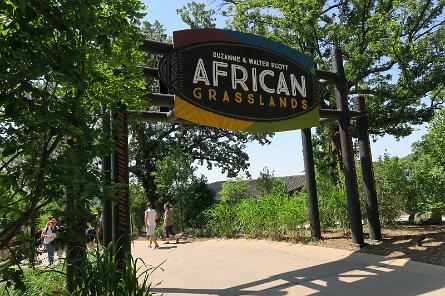 20170610_110458 null