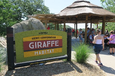 20170610_110904 null