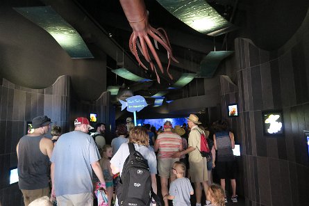 20170610_132715 null