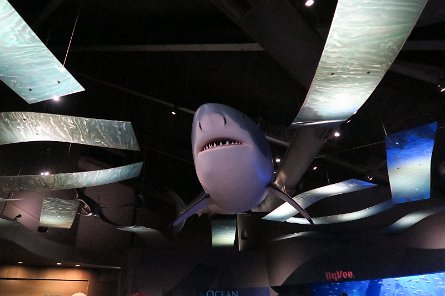 20170610_132751 null