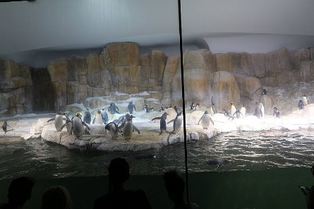 20170610_133006 null