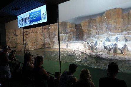 20170610_133008 null