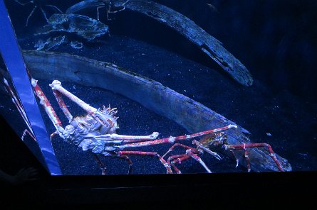 20170610_133202 null