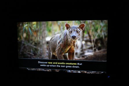 20170610_154802 null