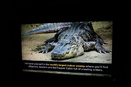 20170610_154813 null