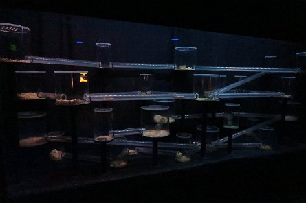 20170610_154932 null