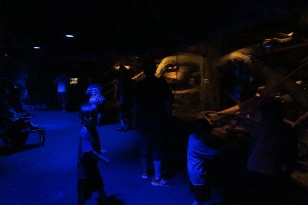 20170610_154943 null