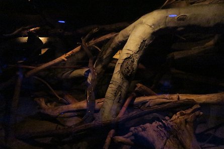 20170610_154952 null