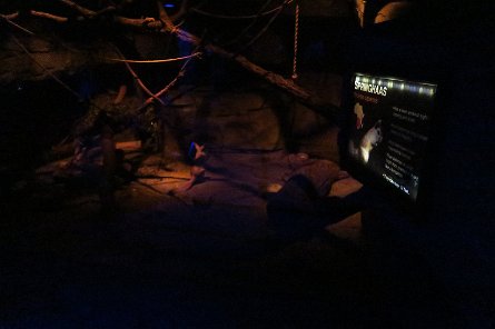 20170610_155026 null