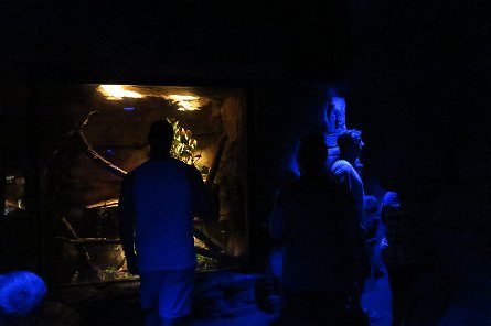 20170610_155104 null