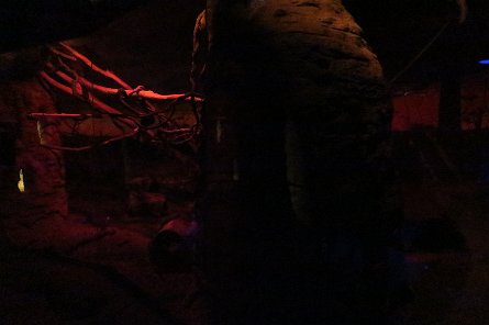 20170610_155113 null