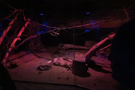 20170610_155140 null