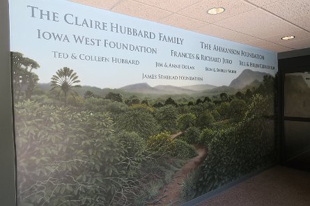 20170610_122229 null