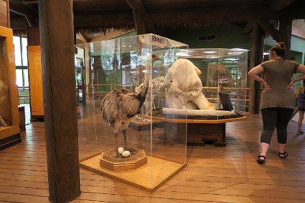 20170610_161609 null