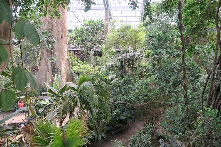 20170610_162730 null