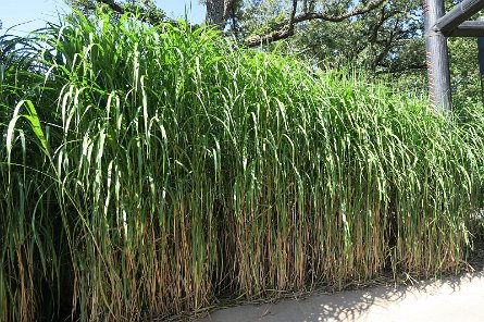 20210828_104736 null