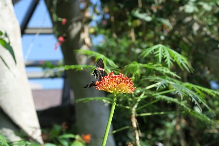 20210828_103840 null