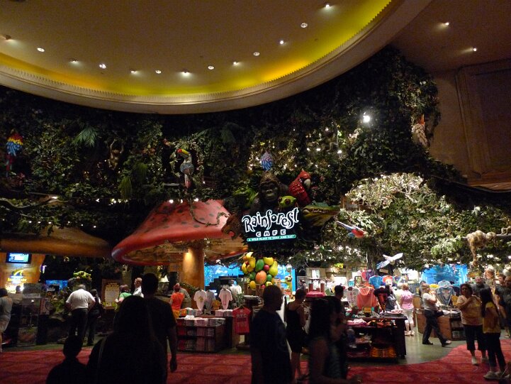 16-RainforestCafe