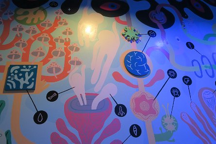 20241115_113224 null