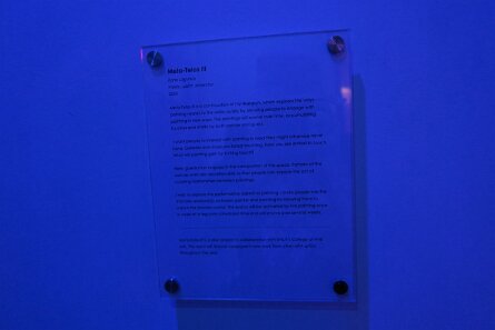 20241115_113322 null