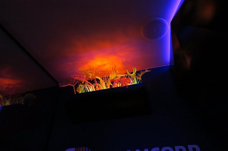 20241115_113028 null