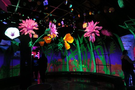 20241115_114706 null