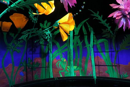 20241115_114730 null