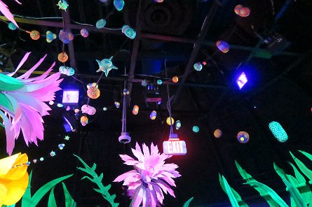 20241115_114732 null