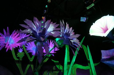 20241115_114736 null